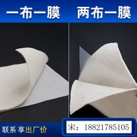 復(fù)合土工膜兩布一膜蓄水魚(yú)池魚(yú)塘防滲膜填埋防滲防水膜