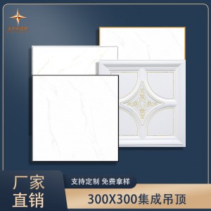 集成吊頂鋁扣板300×300衛(wèi)生間廚房餐廳房間客廳二級吊頂材料自裝